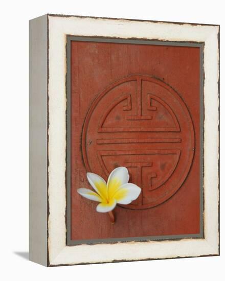 Long Life Symbol and Lotus Flower-Sebastien Desarmaux-Framed Premier Image Canvas