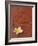 Long Life Symbol and Lotus Flower-Sebastien Desarmaux-Framed Photographic Print