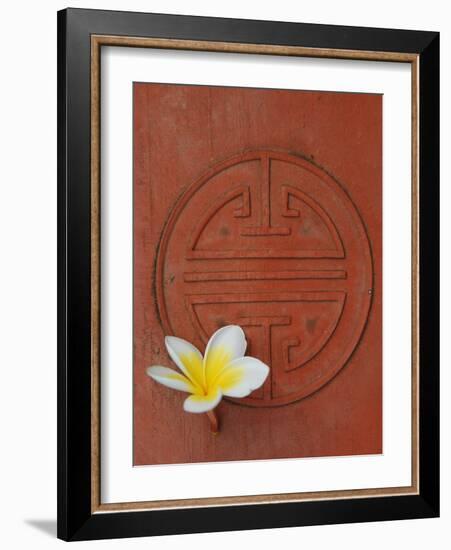 Long Life Symbol and Lotus Flower-Sebastien Desarmaux-Framed Photographic Print