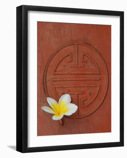 Long Life Symbol and Lotus Flower-Sebastien Desarmaux-Framed Photographic Print