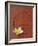 Long Life Symbol and Lotus Flower-Sebastien Desarmaux-Framed Photographic Print