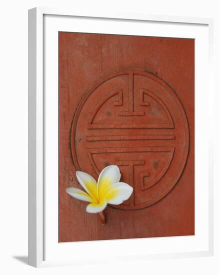 Long Life Symbol and Lotus Flower-Sebastien Desarmaux-Framed Photographic Print