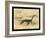 Long Necked Sea Lizard-Joseph Smit-Framed Art Print