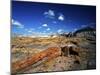 Long Petrified Log at Blue Mesa, Petrified Forest National Park, Arizona, USA-Bernard Friel-Mounted Photographic Print