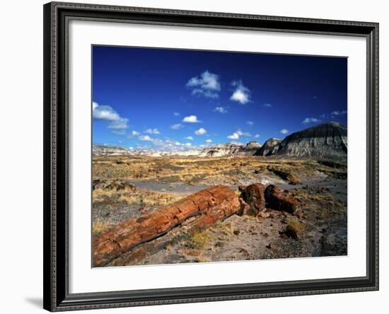 Long Petrified Log at Blue Mesa, Petrified Forest National Park, Arizona, USA-Bernard Friel-Framed Photographic Print