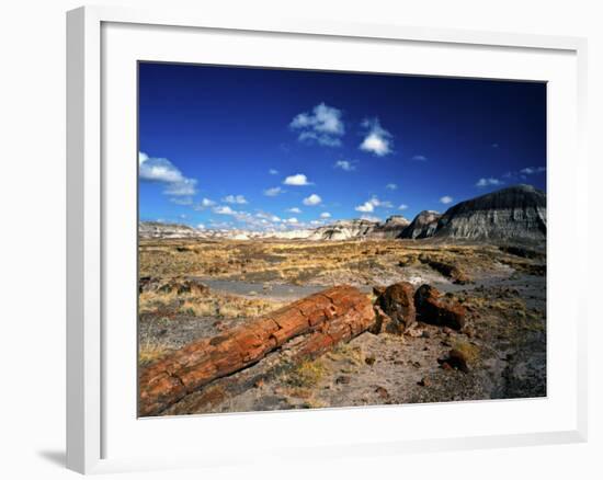 Long Petrified Log at Blue Mesa, Petrified Forest National Park, Arizona, USA-Bernard Friel-Framed Photographic Print