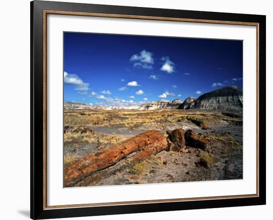 Long Petrified Log at Blue Mesa, Petrified Forest National Park, Arizona, USA-Bernard Friel-Framed Photographic Print