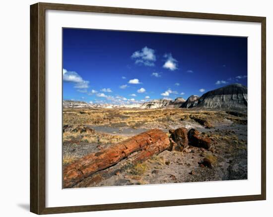 Long Petrified Log at Blue Mesa, Petrified Forest National Park, Arizona, USA-Bernard Friel-Framed Photographic Print