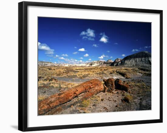 Long Petrified Log at Blue Mesa, Petrified Forest National Park, Arizona, USA-Bernard Friel-Framed Photographic Print