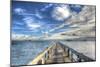 Long Pier Sebastian Florida-Robert Goldwitz-Mounted Photographic Print