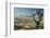 Long range binoculars for tourists and panoramic view of skyline and downtown of El Paso Texas l...-null-Framed Photographic Print