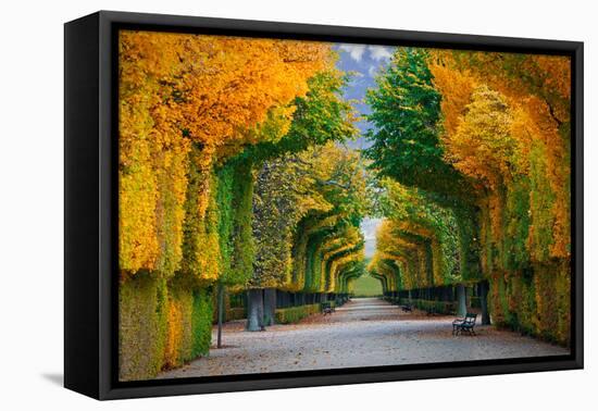 Long Road in Autumn Park-badahos-Framed Premier Image Canvas