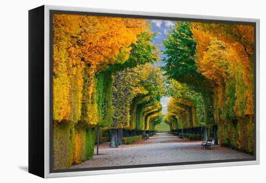 Long Road in Autumn Park-badahos-Framed Premier Image Canvas