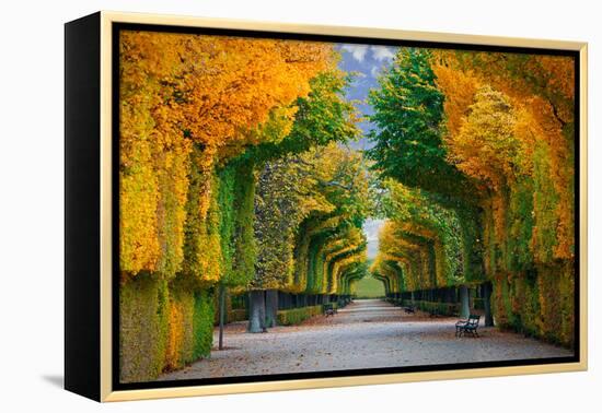 Long Road in Autumn Park-badahos-Framed Premier Image Canvas