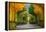 Long Road in Autumn Park-badahos-Framed Premier Image Canvas
