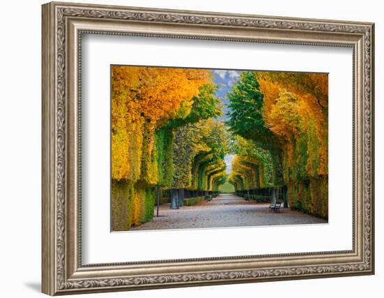 Long Road in Autumn Park-badahos-Framed Photographic Print