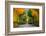 Long Road in Autumn Park-badahos-Framed Photographic Print