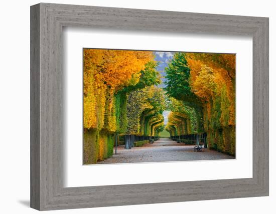 Long Road in Autumn Park-badahos-Framed Photographic Print