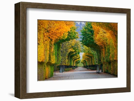 Long Road in Autumn Park-badahos-Framed Photographic Print