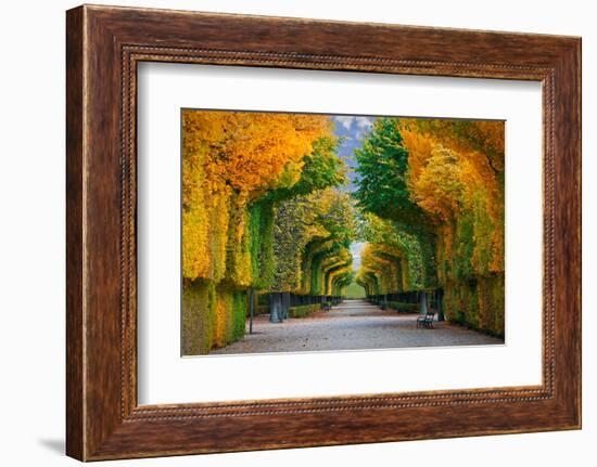 Long Road in Autumn Park-badahos-Framed Photographic Print