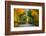 Long Road in Autumn Park-badahos-Framed Photographic Print