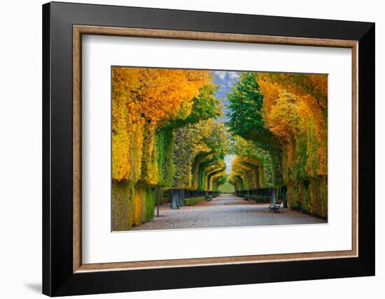 Long Road in Autumn Park-badahos-Framed Photographic Print