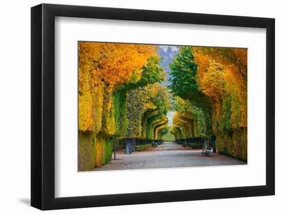 Long Road in Autumn Park-badahos-Framed Photographic Print