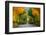 Long Road in Autumn Park-badahos-Framed Photographic Print