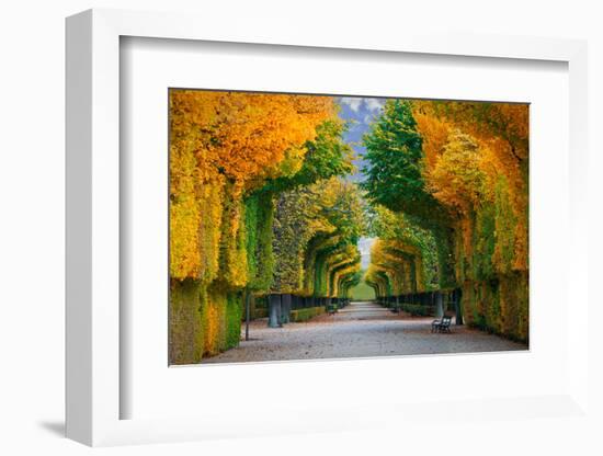 Long Road in Autumn Park-badahos-Framed Photographic Print