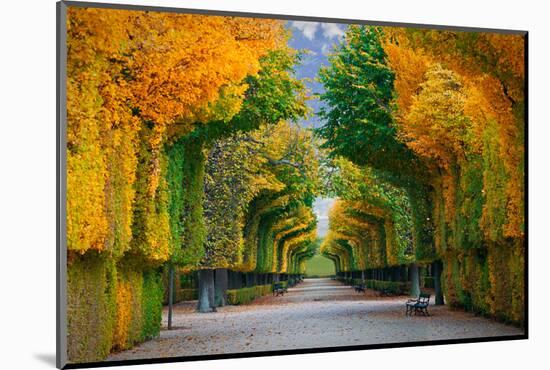 Long Road in Autumn Park-badahos-Mounted Photographic Print