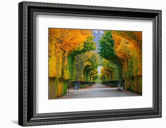 Long Road in Autumn Park-badahos-Framed Photographic Print