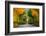 Long Road in Autumn Park-badahos-Framed Photographic Print