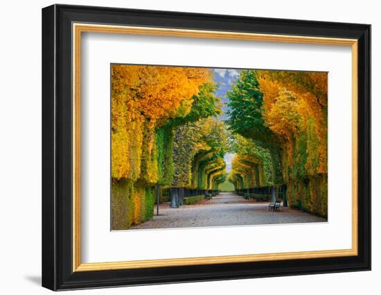 Long Road in Autumn Park-badahos-Framed Photographic Print