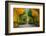 Long Road in Autumn Park-badahos-Framed Photographic Print