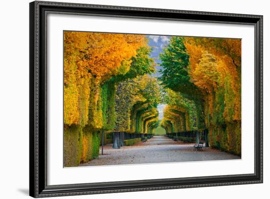 Long Road in Autumn Park-badahos-Framed Photographic Print