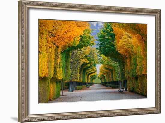 Long Road in Autumn Park-badahos-Framed Photographic Print