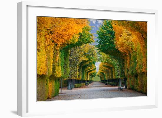 Long Road in Autumn Park-badahos-Framed Photographic Print