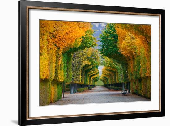 Long Road in Autumn Park-badahos-Framed Photographic Print