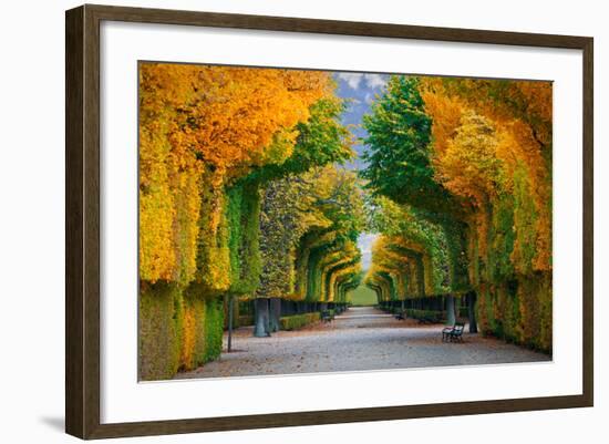 Long Road in Autumn Park-badahos-Framed Photographic Print