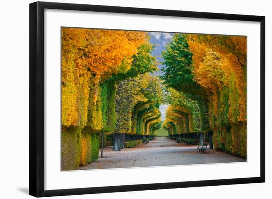 Long Road in Autumn Park-badahos-Framed Photographic Print