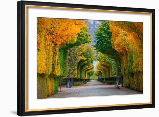 Long Road in Autumn Park-badahos-Framed Photographic Print