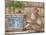 Long Tail Macaque, Thailand-Gavriel Jecan-Mounted Photographic Print