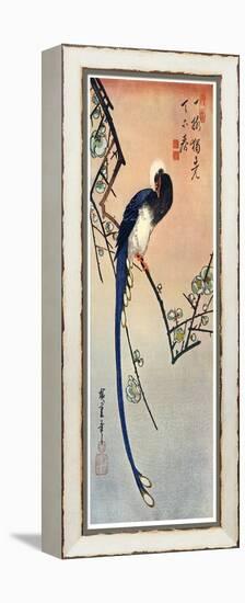 Long Tailed Blue Bird on Branch of Plum Tree in Blossom, 19th Century-Ando Hiroshige-Framed Premier Image Canvas