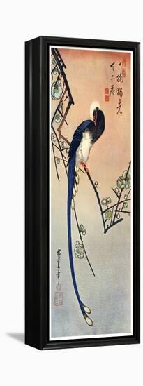 Long Tailed Blue Bird on Branch of Plum Tree in Blossom, 19th Century-Ando Hiroshige-Framed Premier Image Canvas