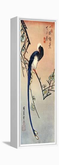 Long Tailed Blue Bird on Branch of Plum Tree in Blossom, 19th Century-Ando Hiroshige-Framed Premier Image Canvas