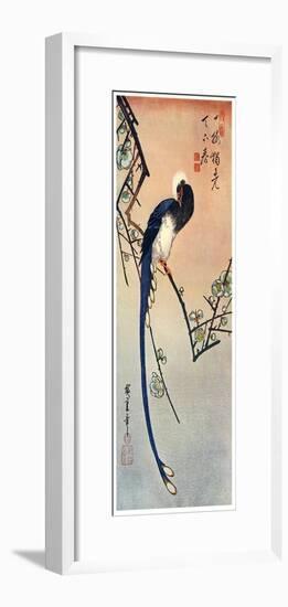 Long Tailed Blue Bird on Branch of Plum Tree in Blossom, 19th Century-Ando Hiroshige-Framed Giclee Print