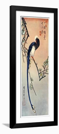 Long Tailed Blue Bird on Branch of Plum Tree in Blossom, 19th Century-Ando Hiroshige-Framed Giclee Print