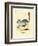 Long-Tailed Chinchilla-null-Framed Giclee Print