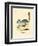 Long-Tailed Chinchilla-null-Framed Giclee Print