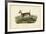 Long-tailed Deer-John James Audubon-Framed Art Print